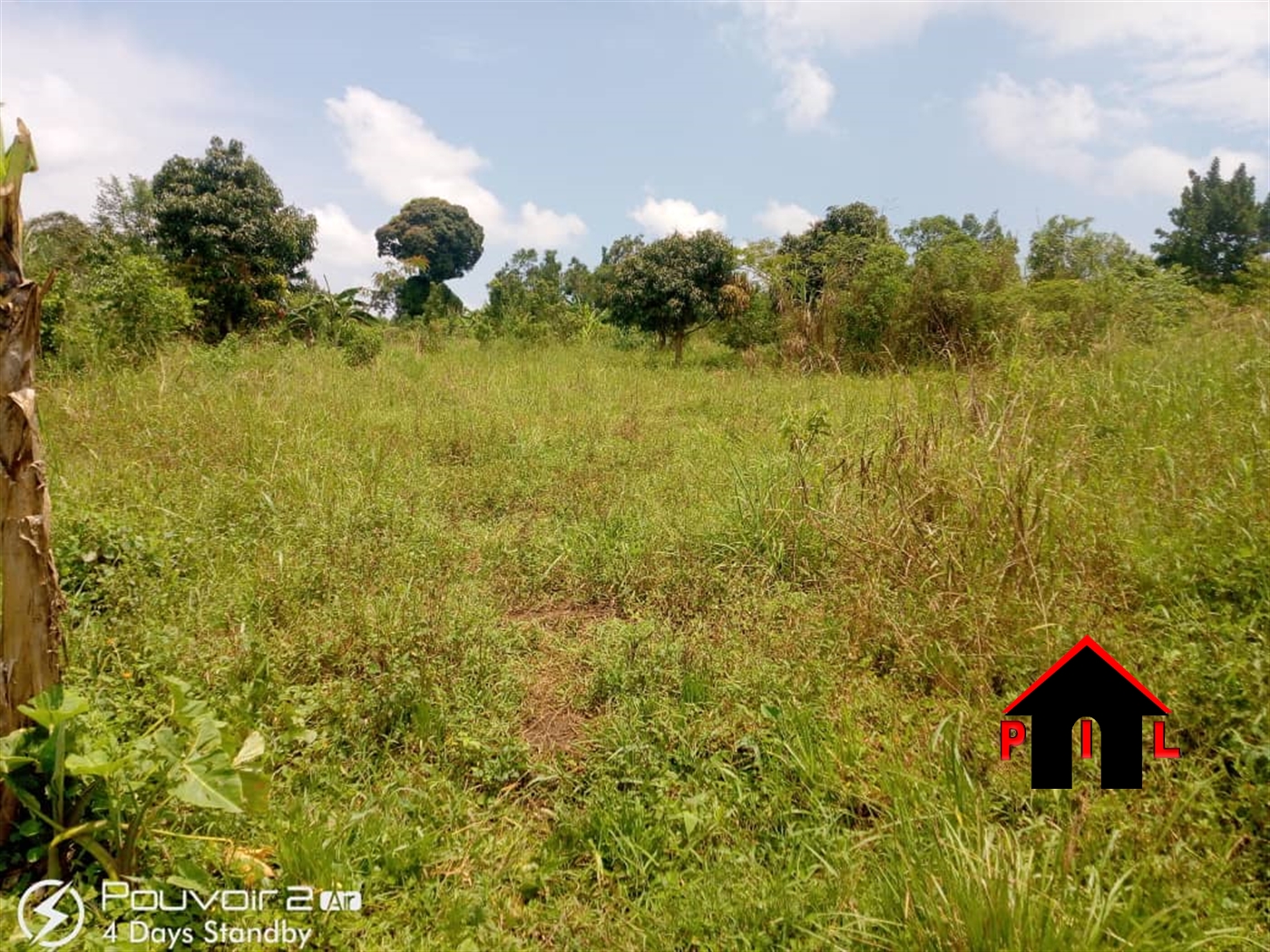 Agricultural Land for sale in Ssanga Luweero