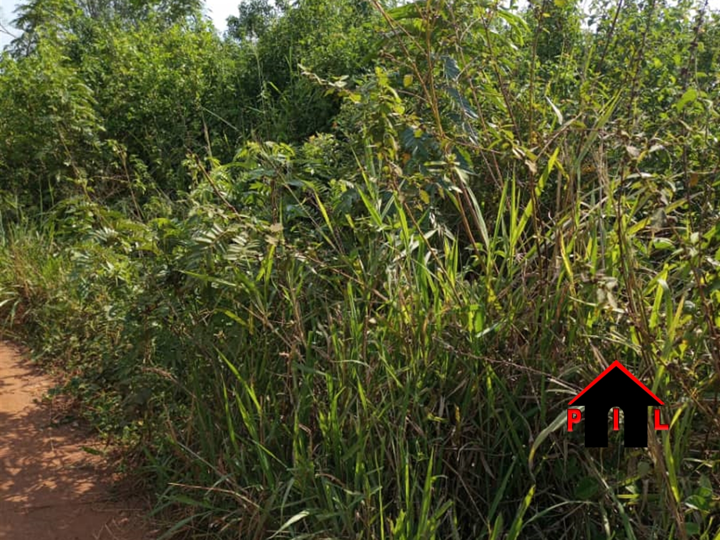 Commercial Land for sale in Kirinda Luweero