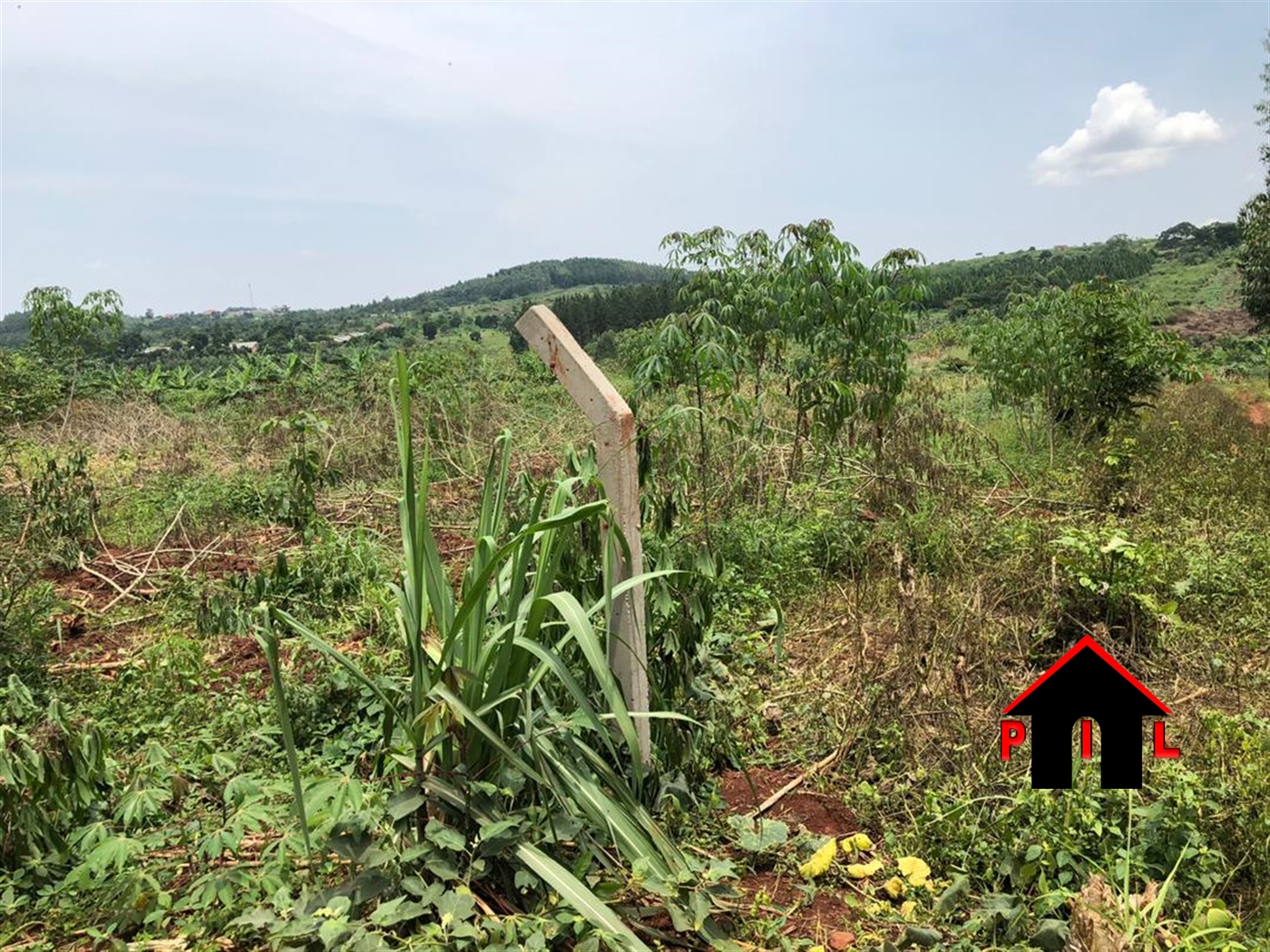 Agricultural Land for sale in Kansiri Nakaseke