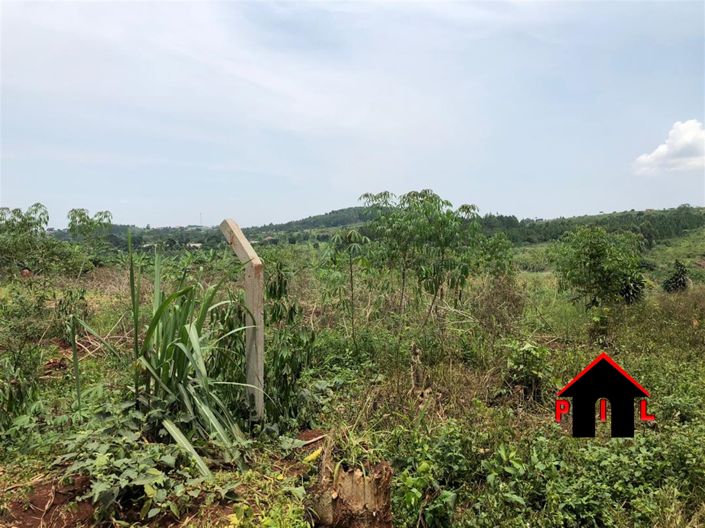 Agricultural Land for sale in Kansiri Nakaseke