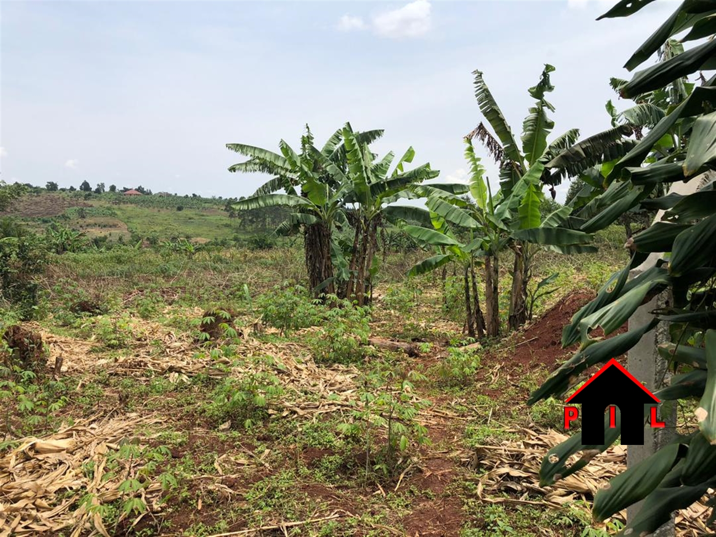 Agricultural Land for sale in Kansiri Nakaseke