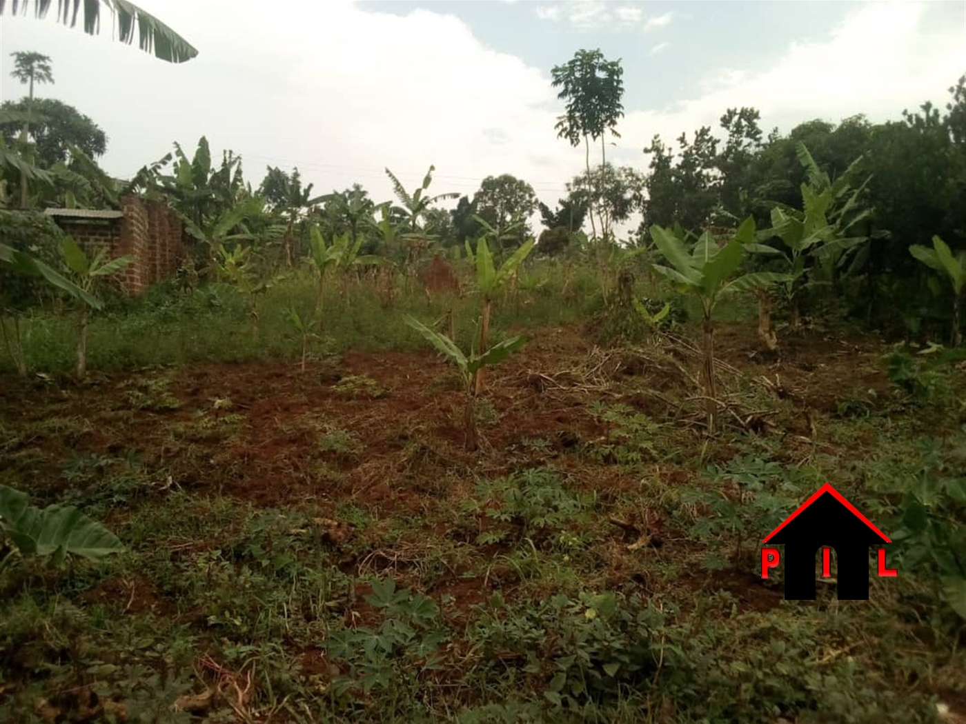 Agricultural Land for sale in Kyambogo Luweero