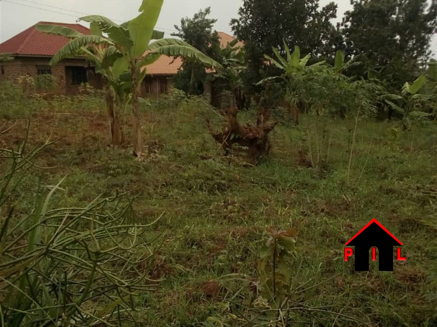 Agricultural Land for sale in Kyambogo Luweero