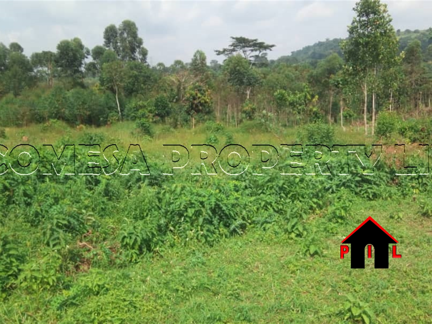 Agricultural Land for sale in Bukakata Masaka