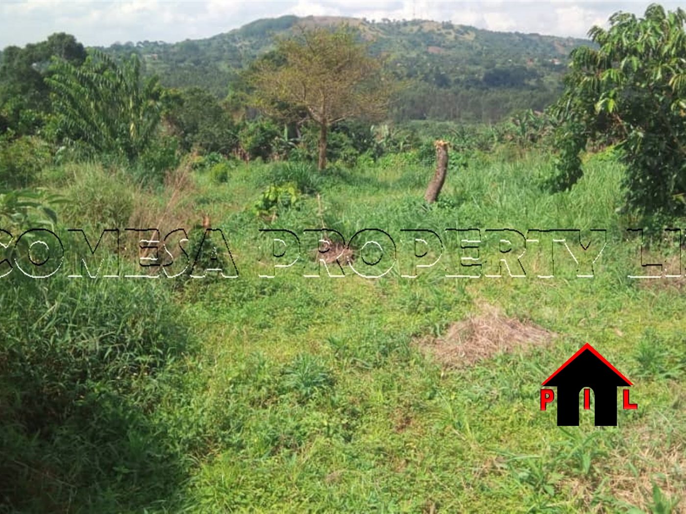 Agricultural Land for sale in Bukakata Masaka