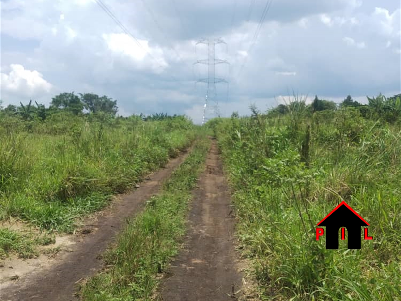 Agricultural Land for sale in Wabigala Nakasongola