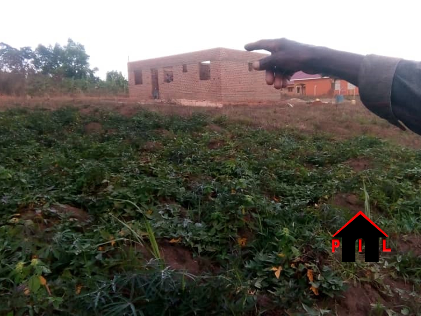 Agricultural Land for sale in Kazwama Nakasongola