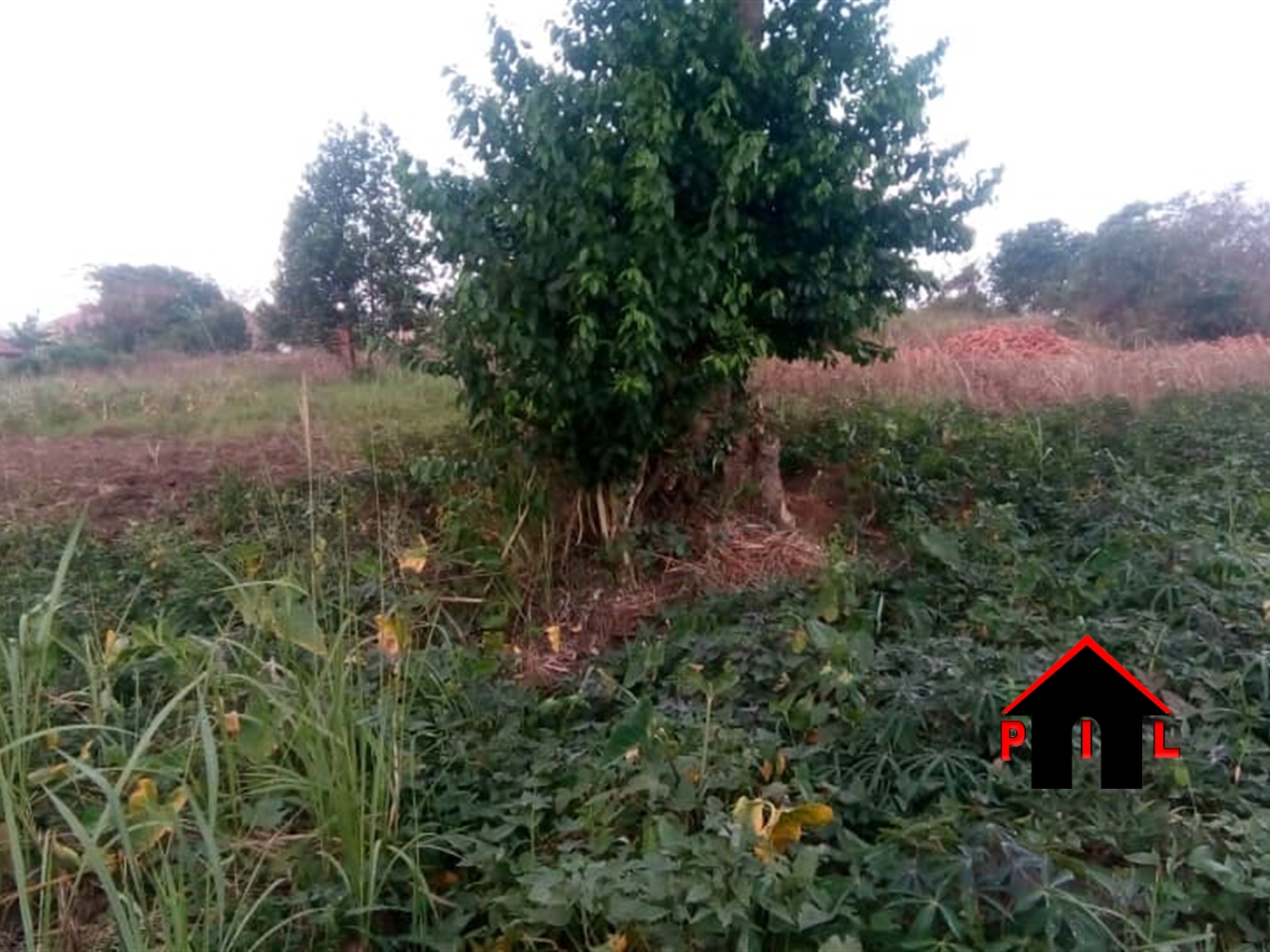 Agricultural Land for sale in Kazwama Nakasongola