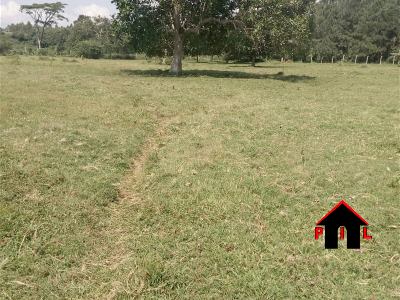 Commercial Land for sale in Bussi Mityana