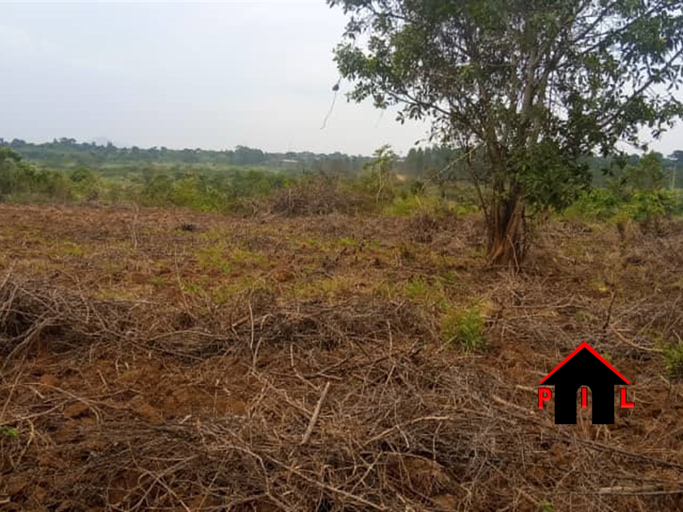 Agricultural Land for sale in Lwabiyata Nakasongola