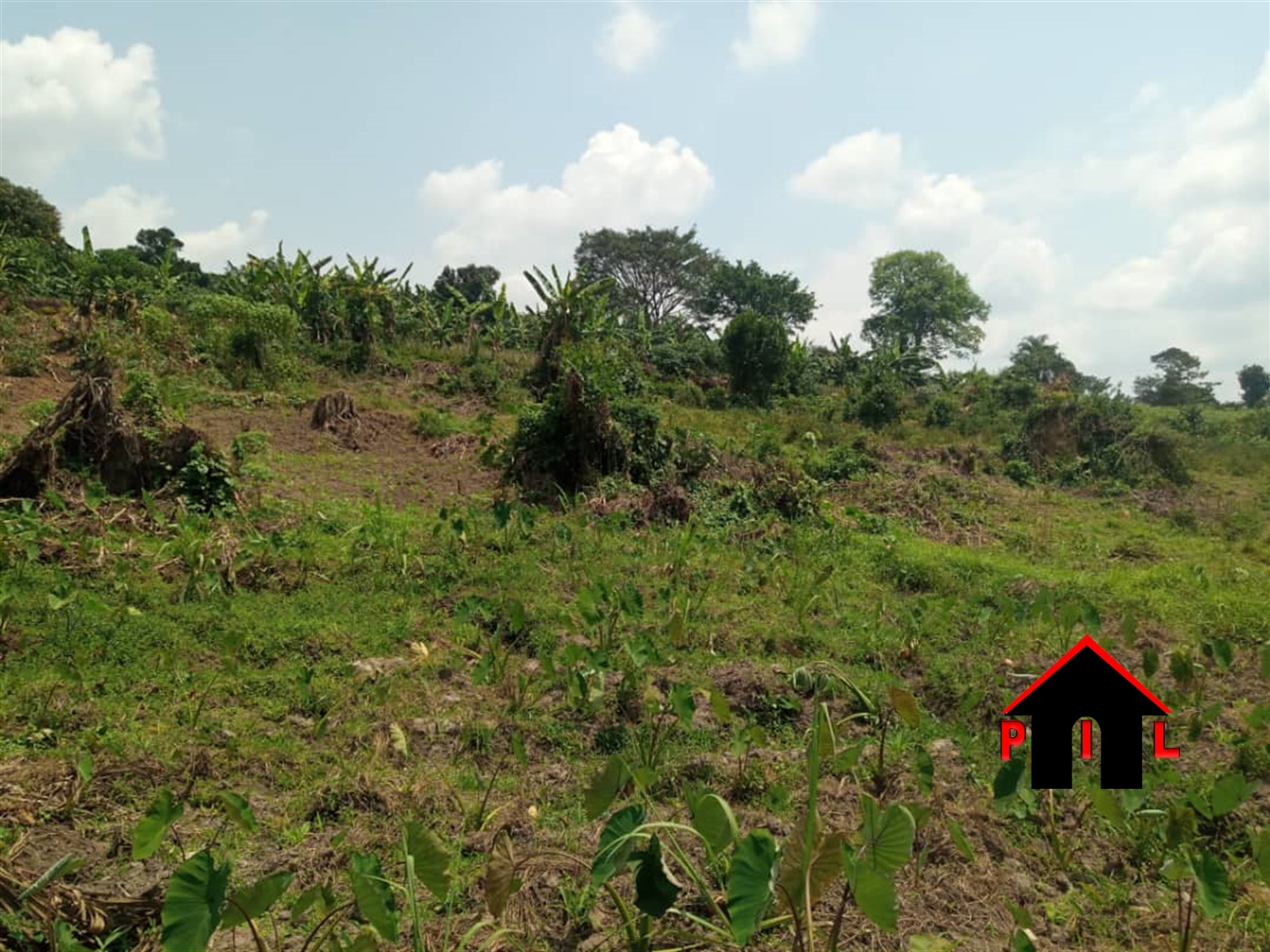 Agricultural Land for sale in Wakyato Nakaseke