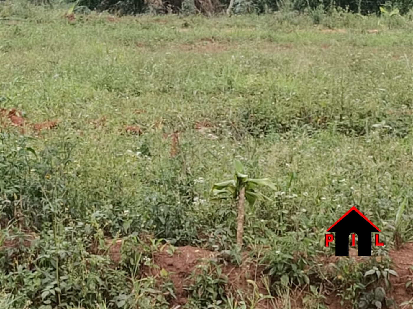 Agricultural Land for sale in Bukuya Kiboga