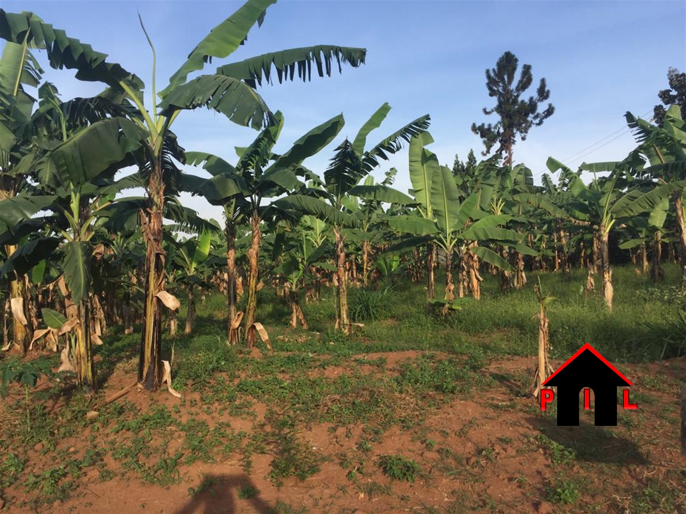 Commercial Land for sale in Kimaga Nakasongola