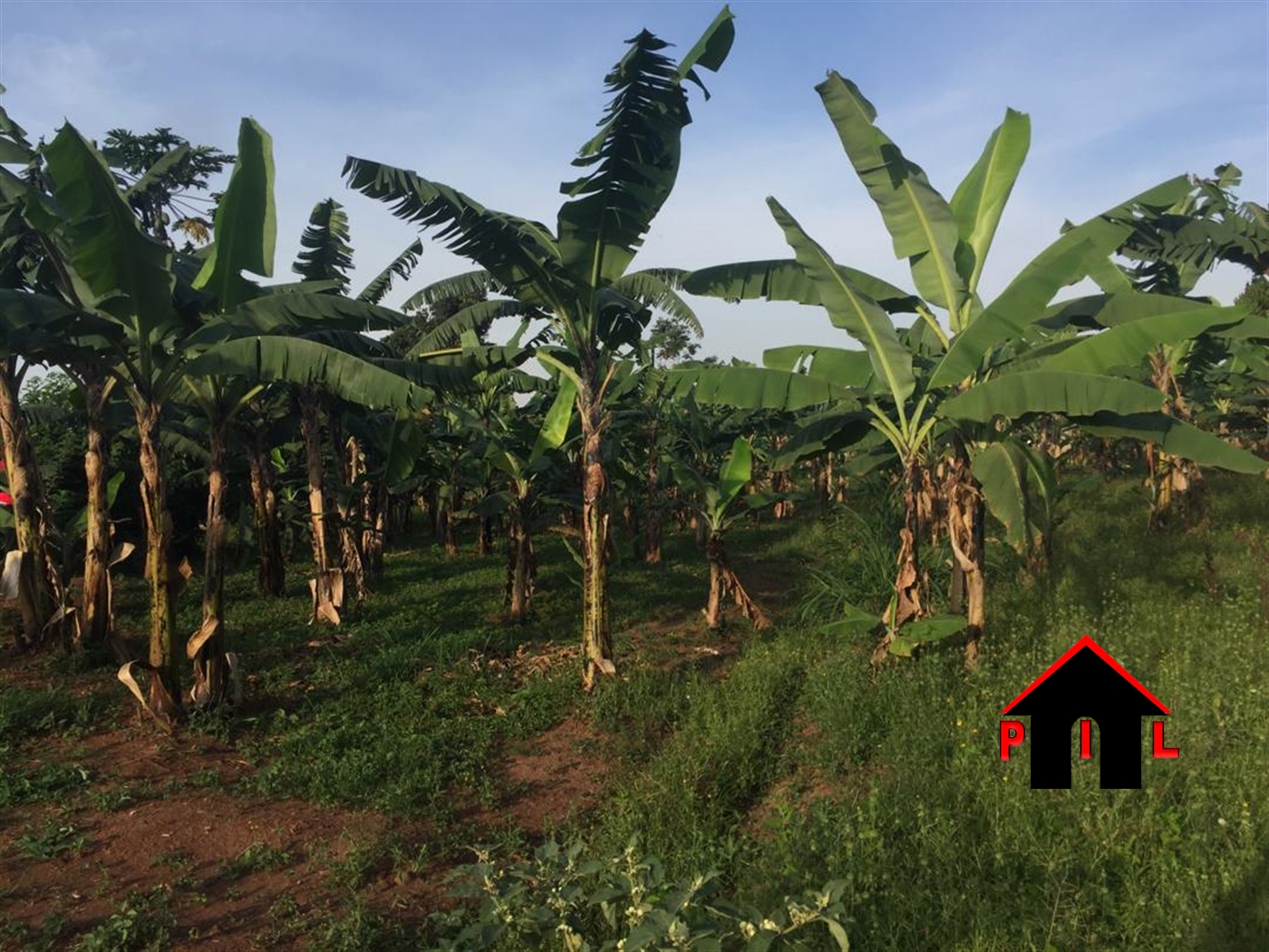 Commercial Land for sale in Kimaga Nakasongola