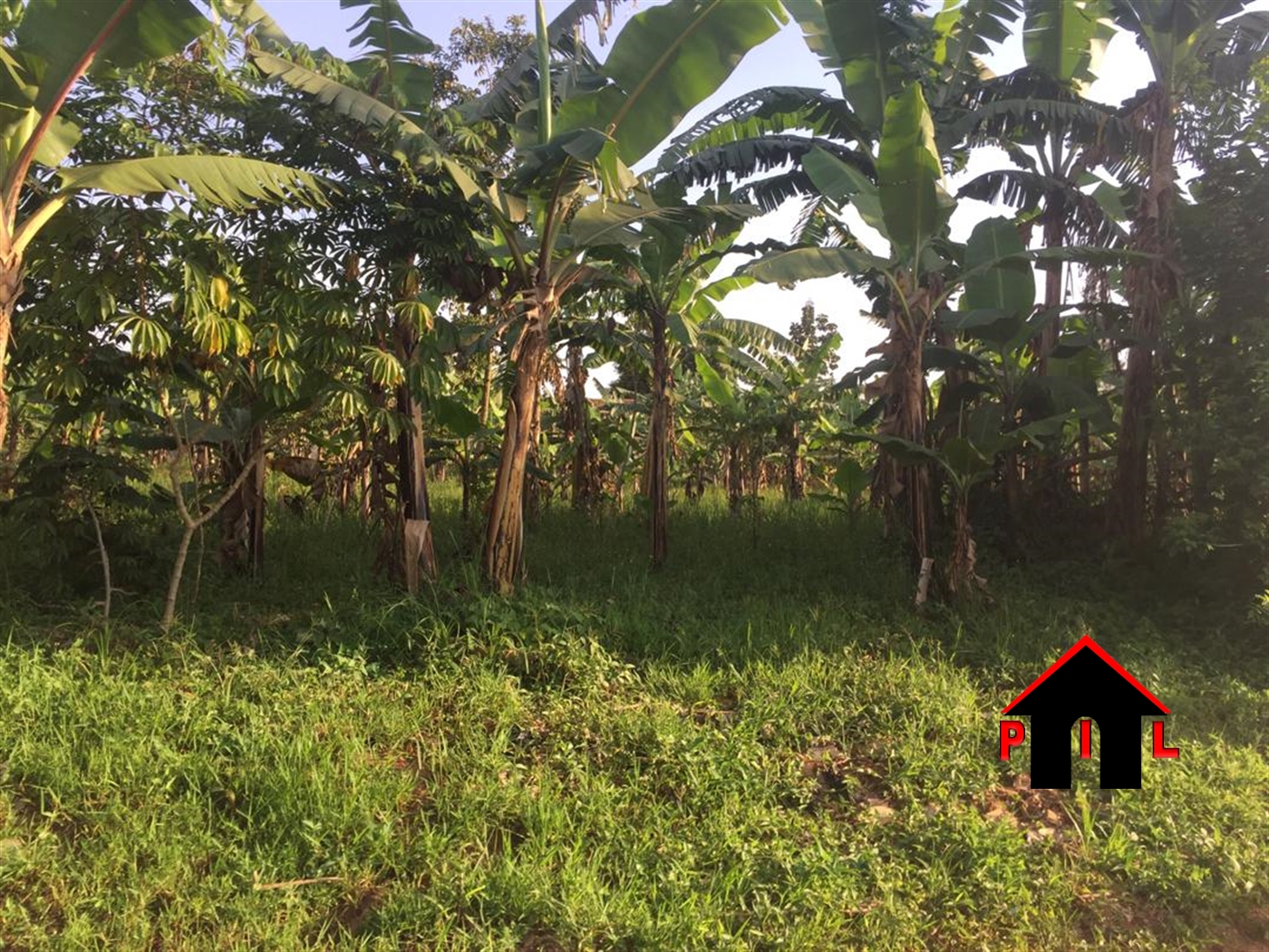 Commercial Land for sale in Kimaga Nakasongola