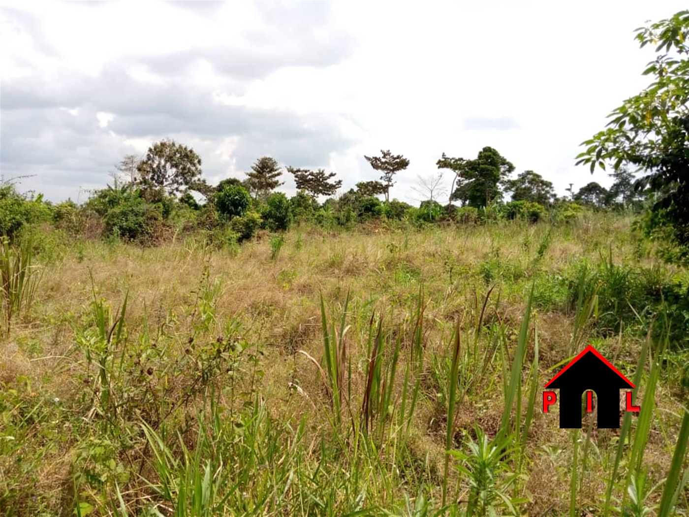 Agricultural Land for sale in Kiziba Luweero