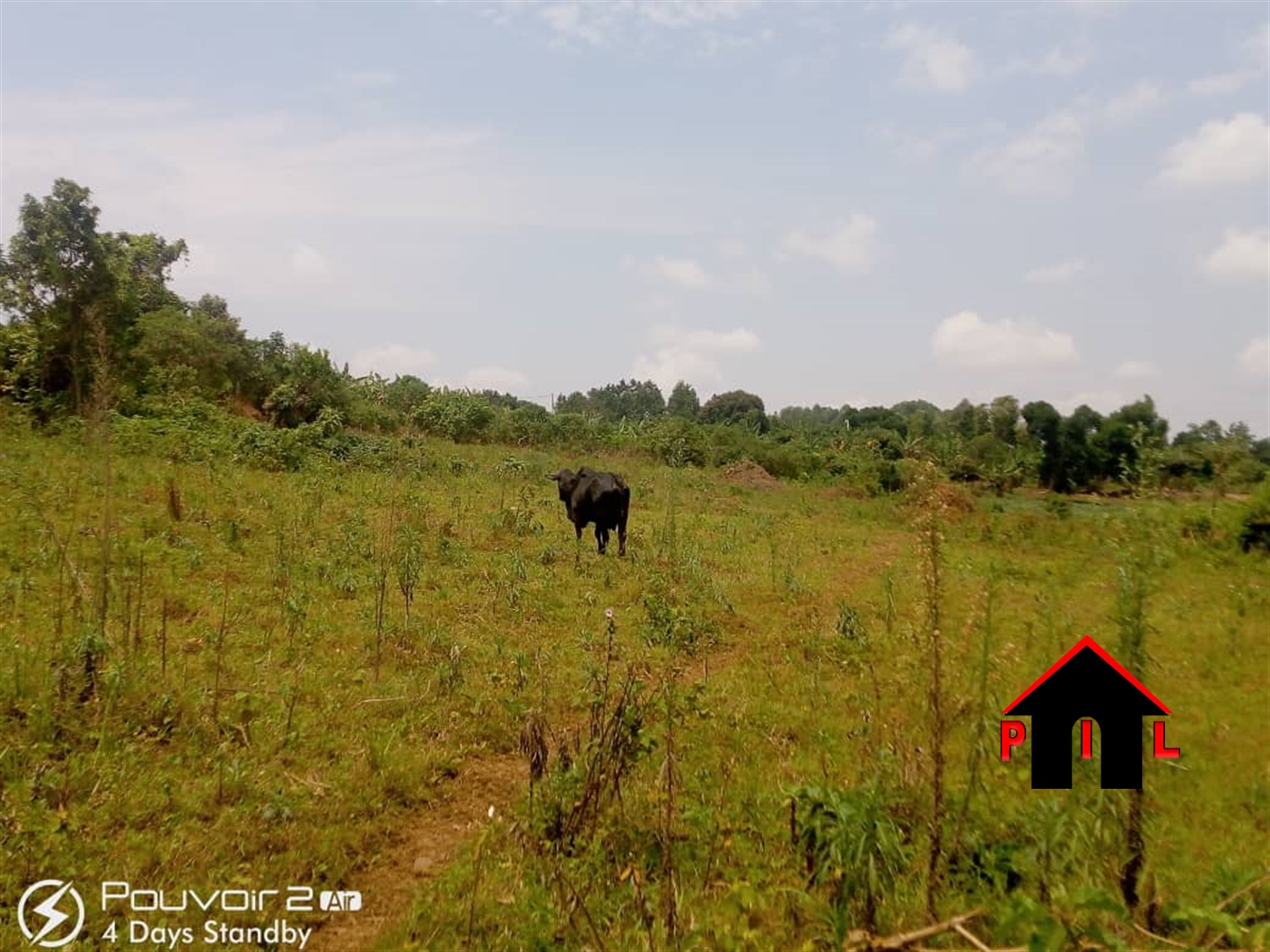 Agricultural Land for sale in Gomba Mityana