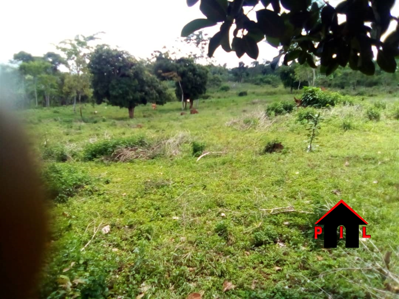 Agricultural Land for sale in Nkokonjeru Buyikwe