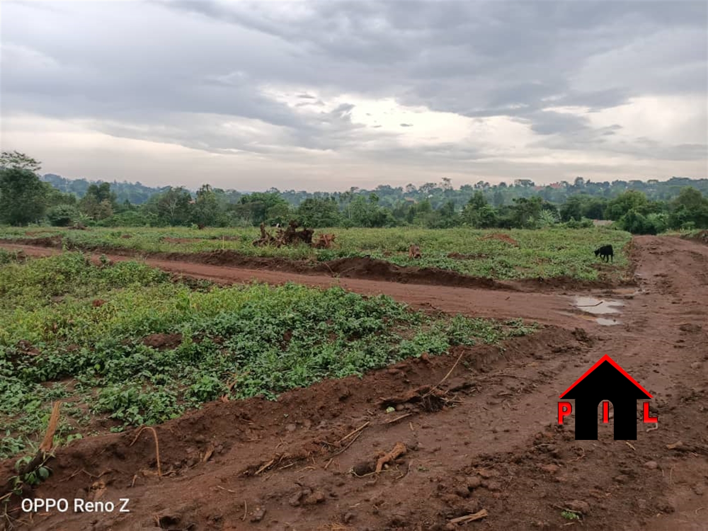 Residential Land for sale in Nampunge Wakiso