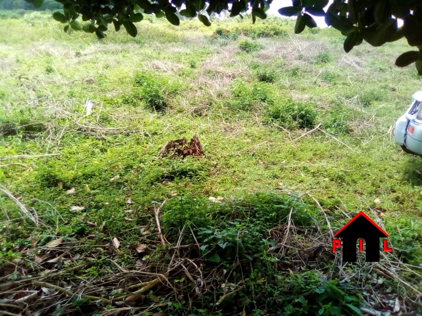 Residential Land for sale in Muyenga Kampala