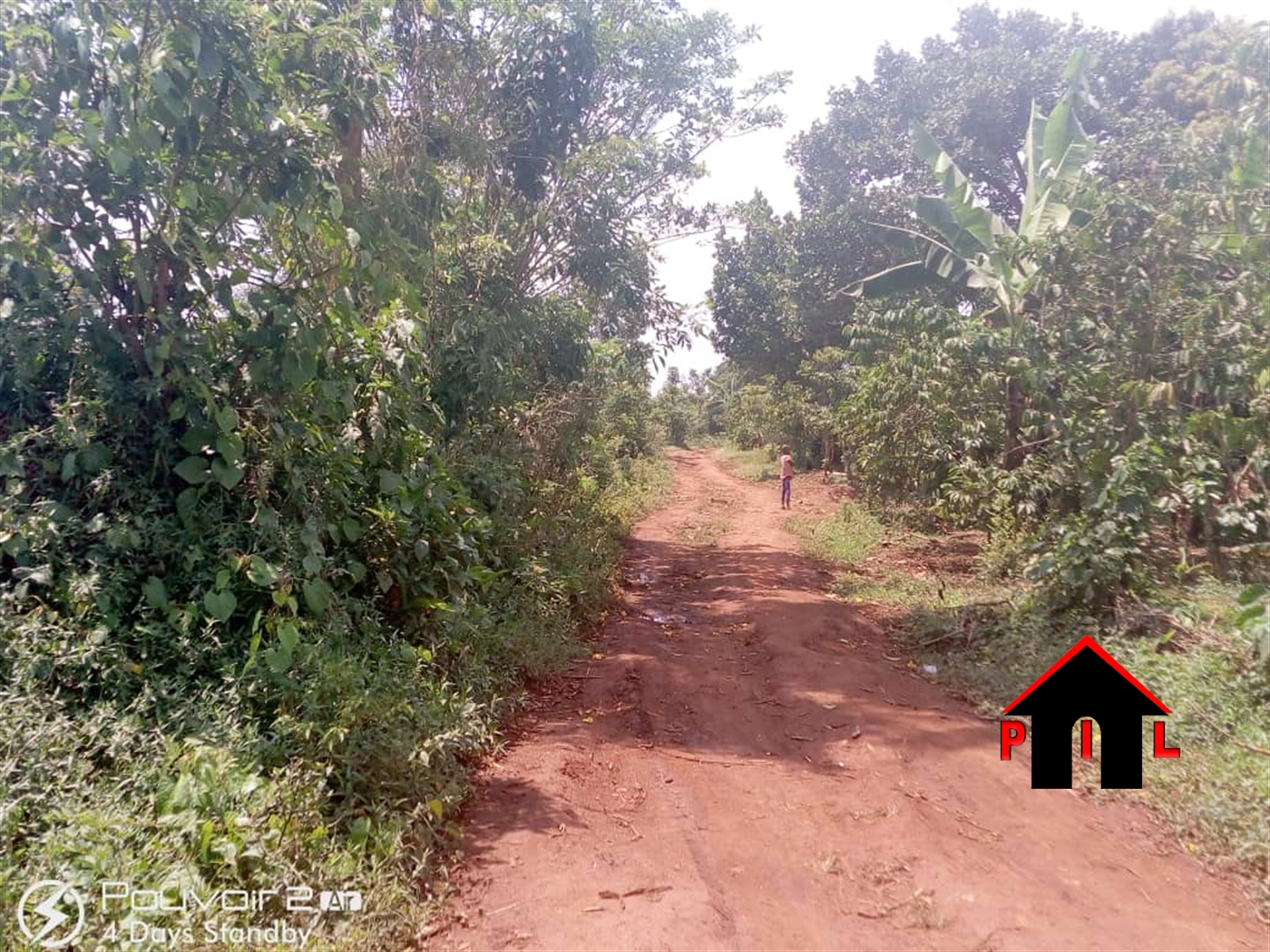 Residential Land for sale in Namulonge Wakiso