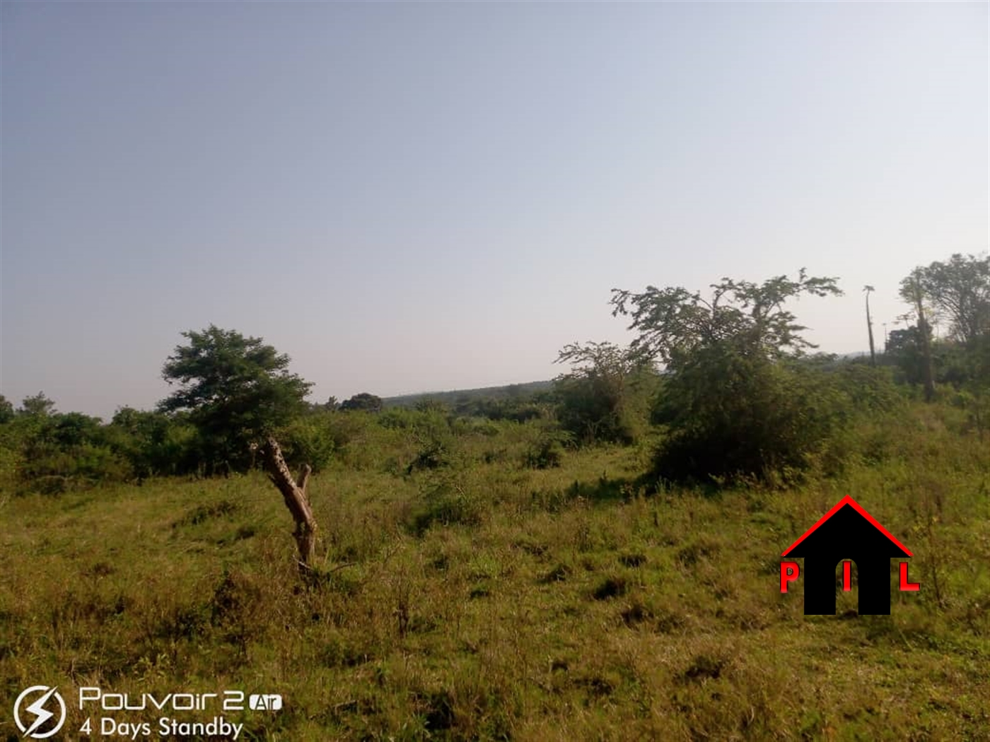 Agricultural Land for sale in Kalamba Mityana