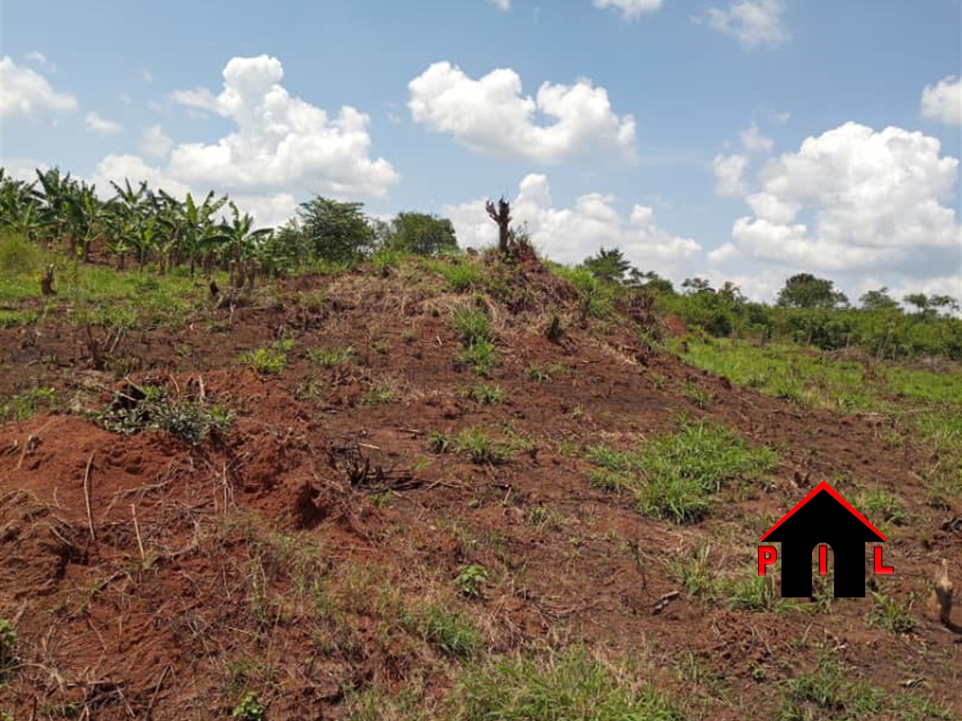 Agricultural Land for sale in Kalamba Mityana