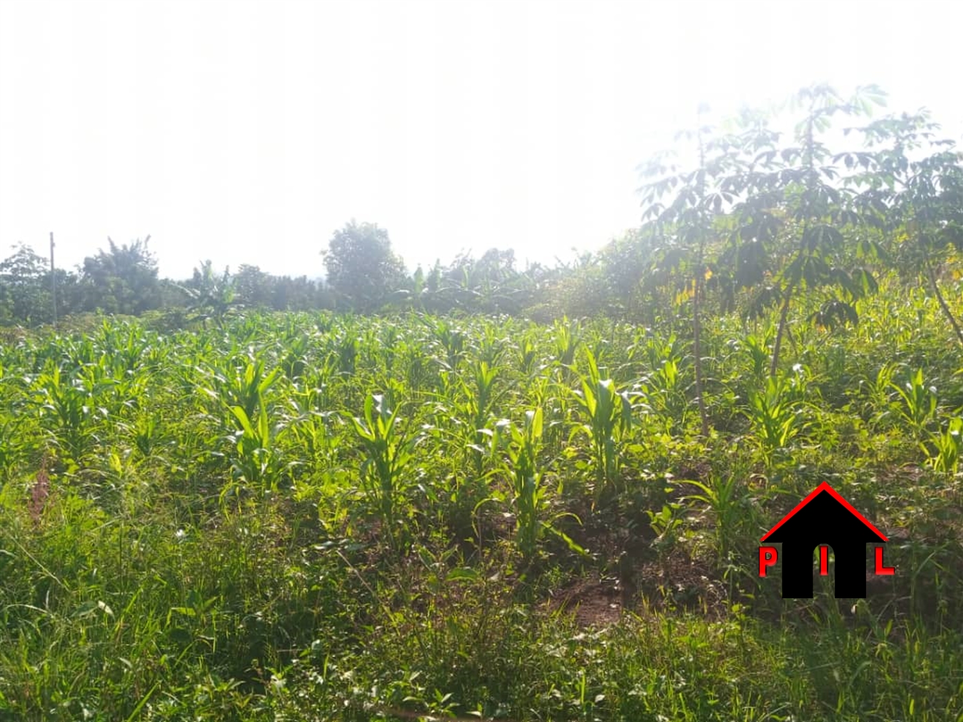 Residential Land for sale in Migadde Wakiso