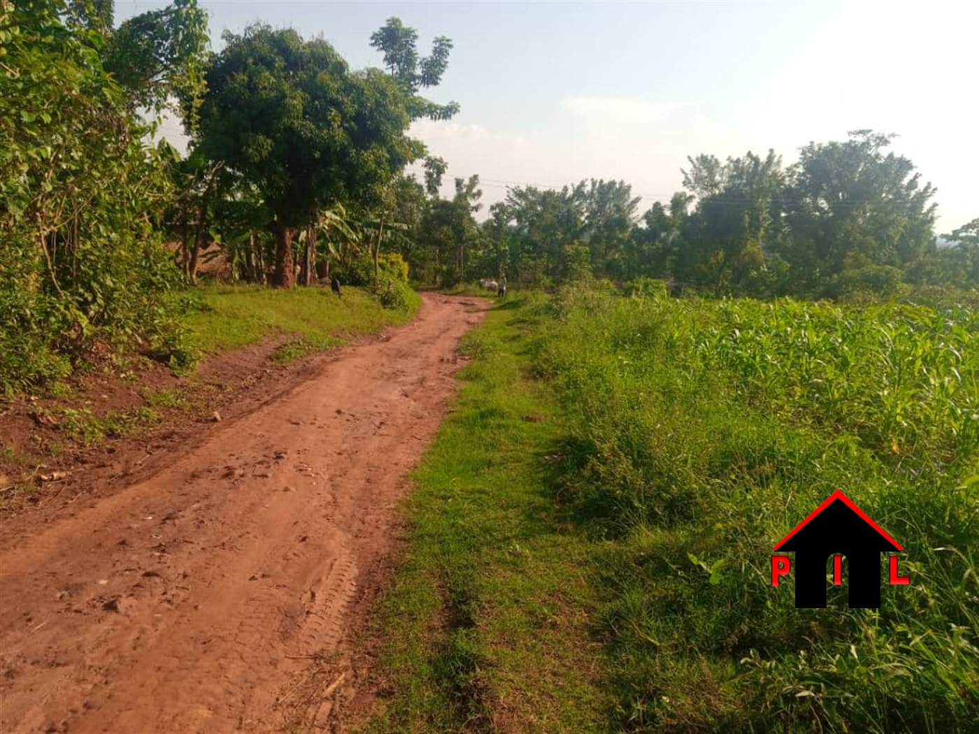 Residential Land for sale in Migadde Wakiso