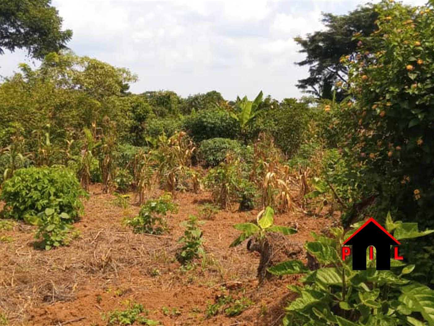 Residential Land for sale in Nakassajja Wakiso