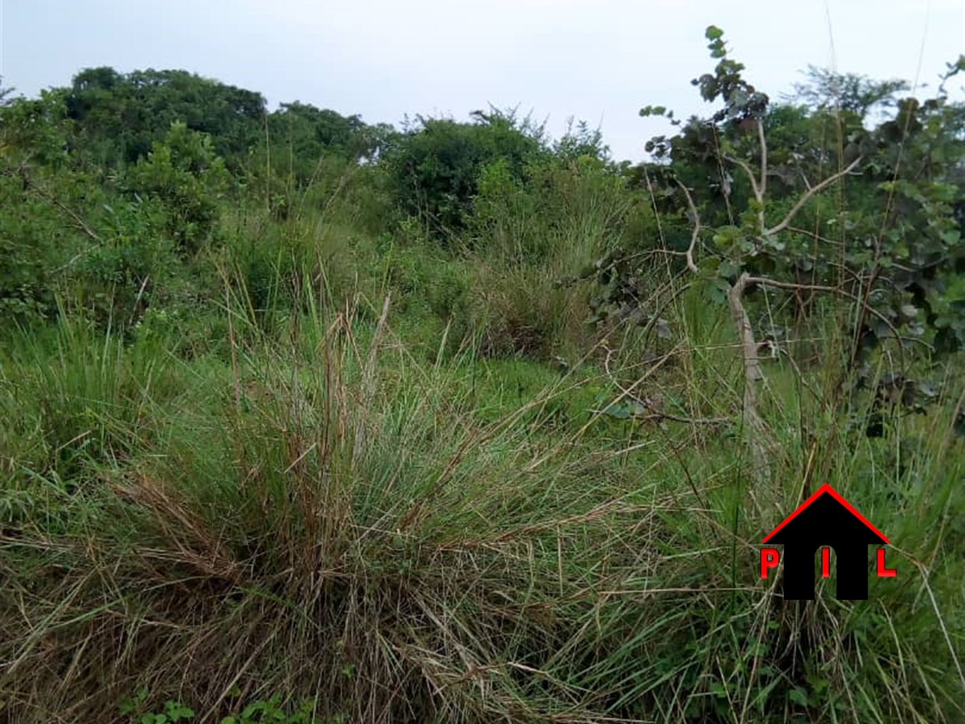 Agricultural Land for sale in Meri Kayunga