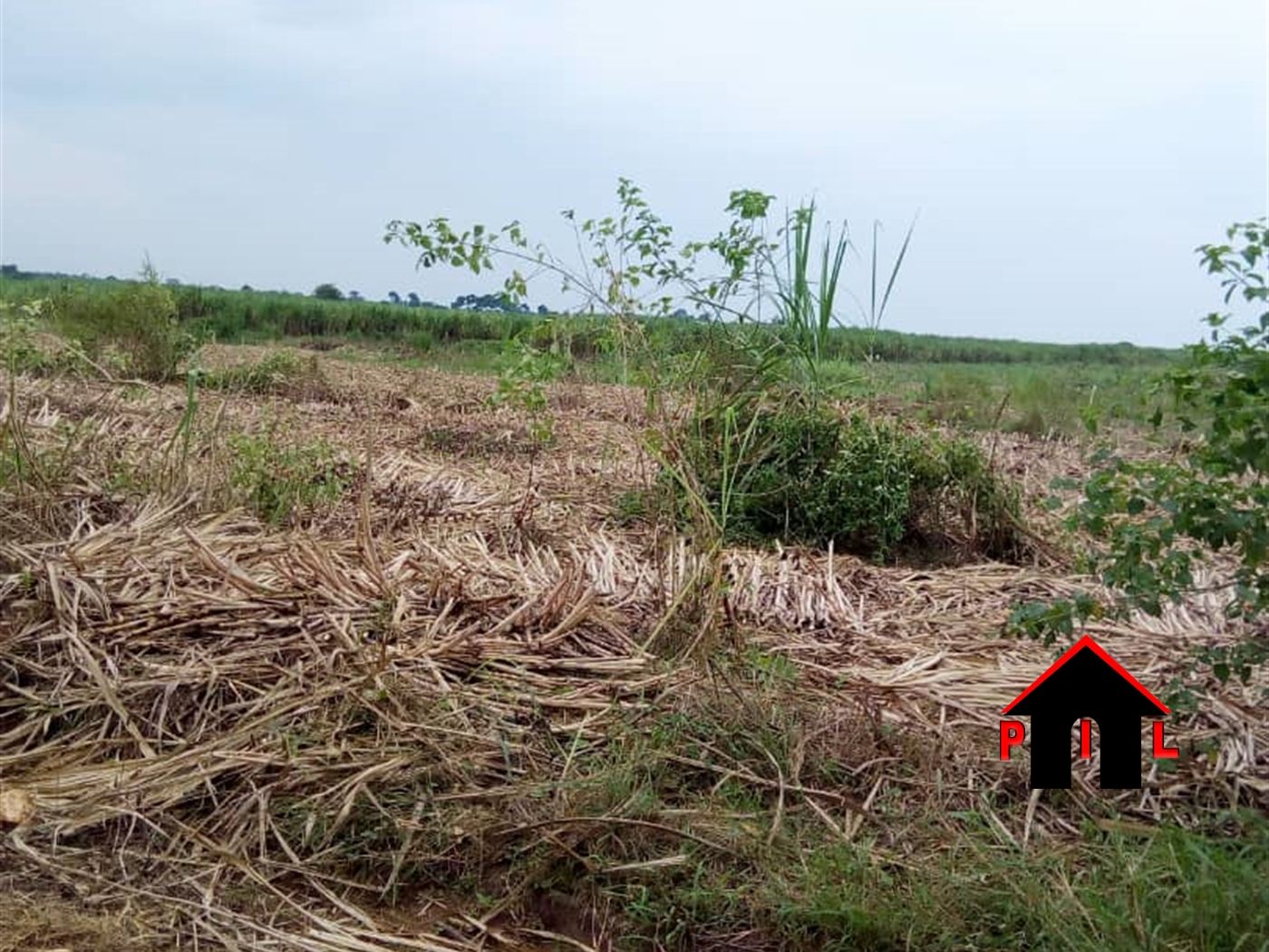 Agricultural Land for sale in Meri Kayunga