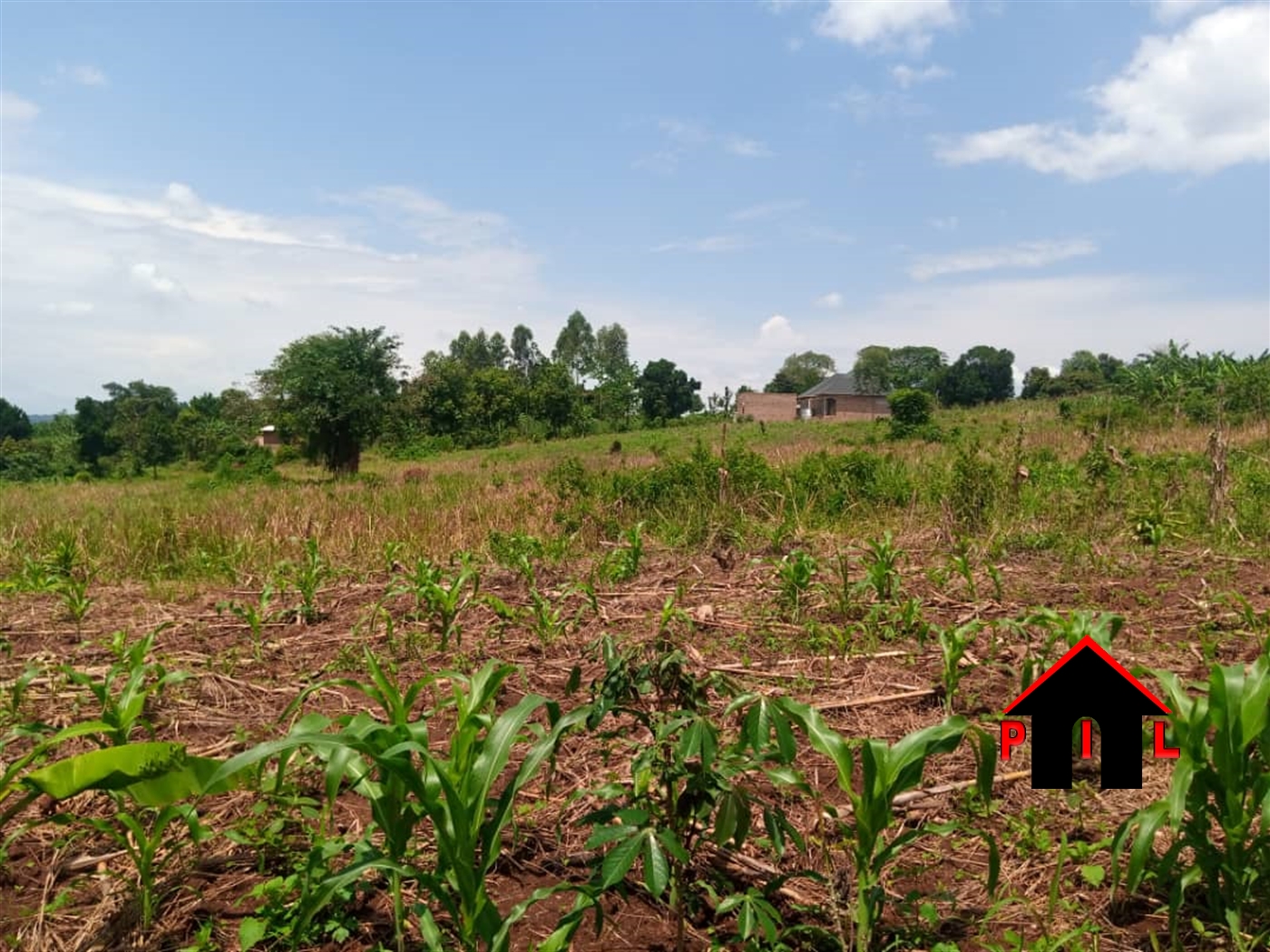 Agricultural Land for sale in Bugema Wakiso