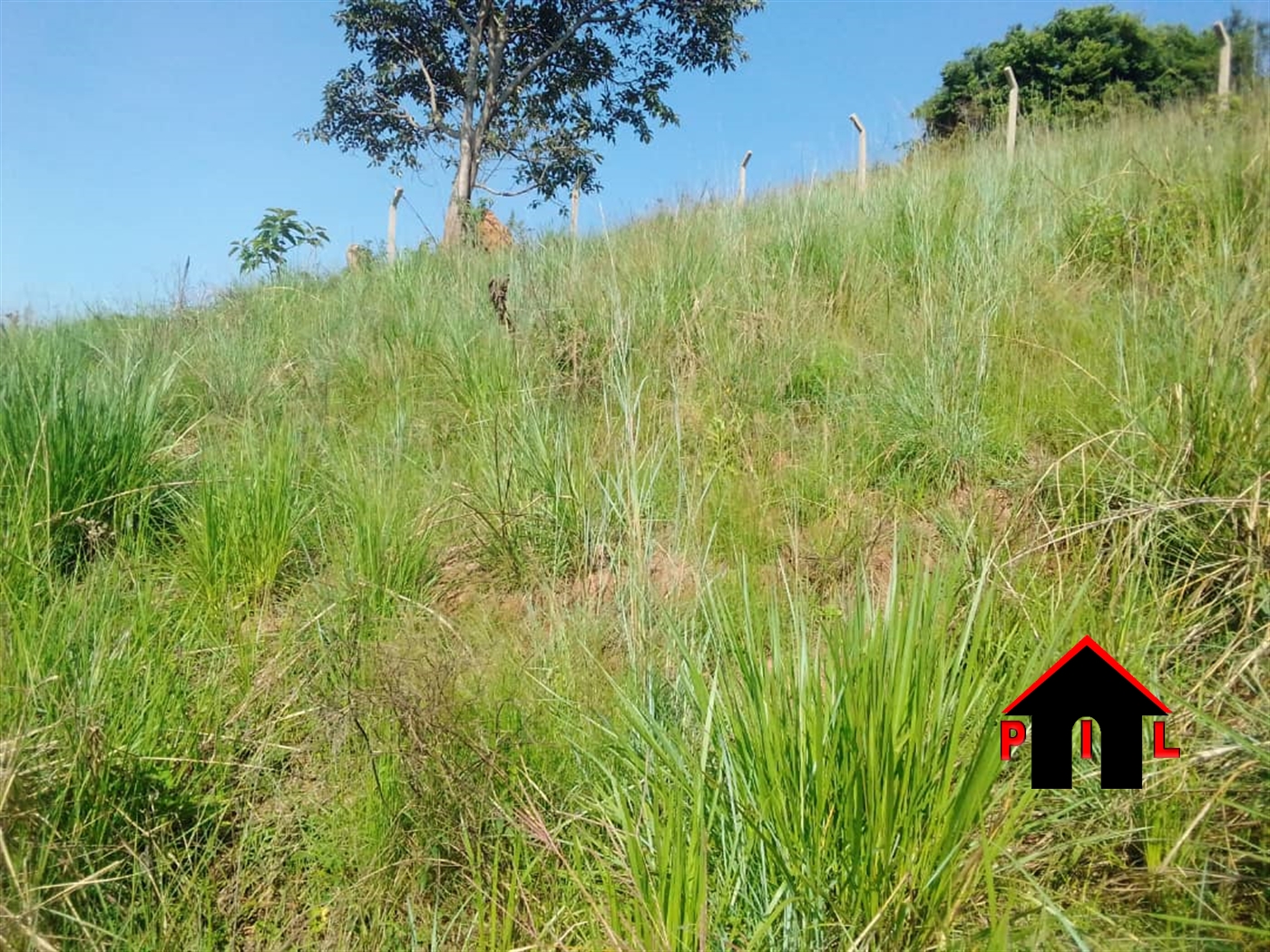 Commercial Land for sale in Mutundwe Kampala