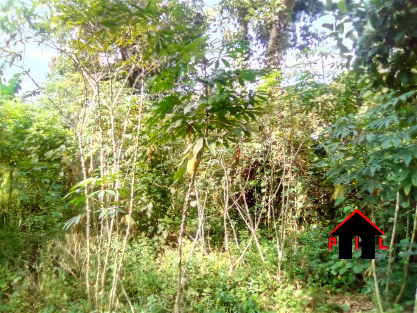 Agricultural Land for sale in Njerere Mukono