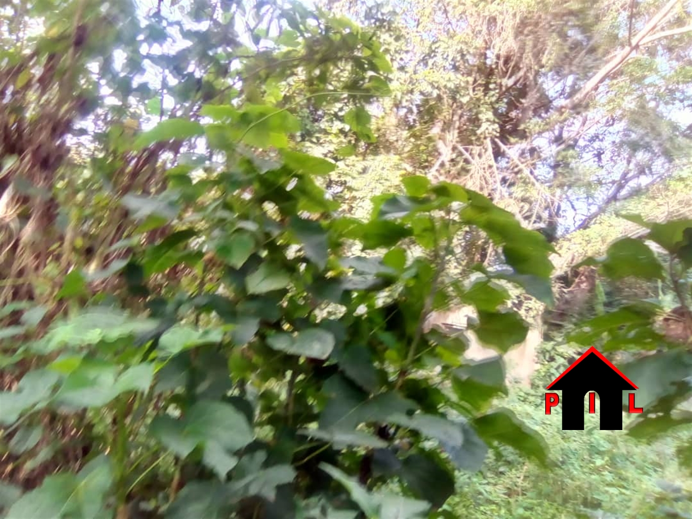 Agricultural Land for sale in Njerere Mukono