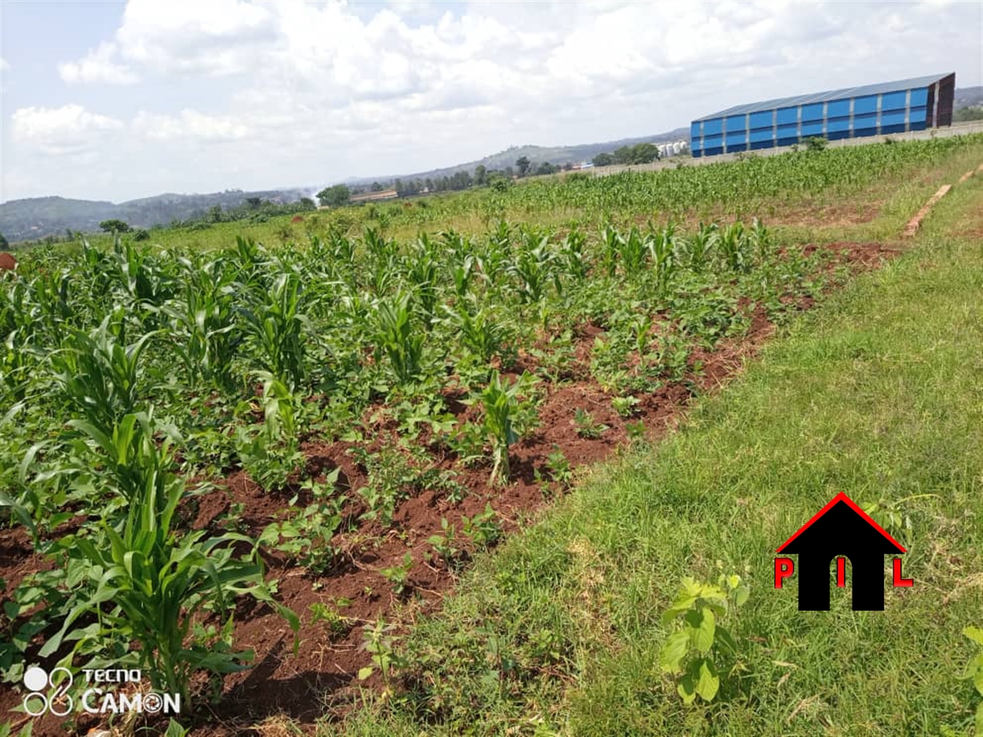 Agricultural Land for sale in Njeru Jinja