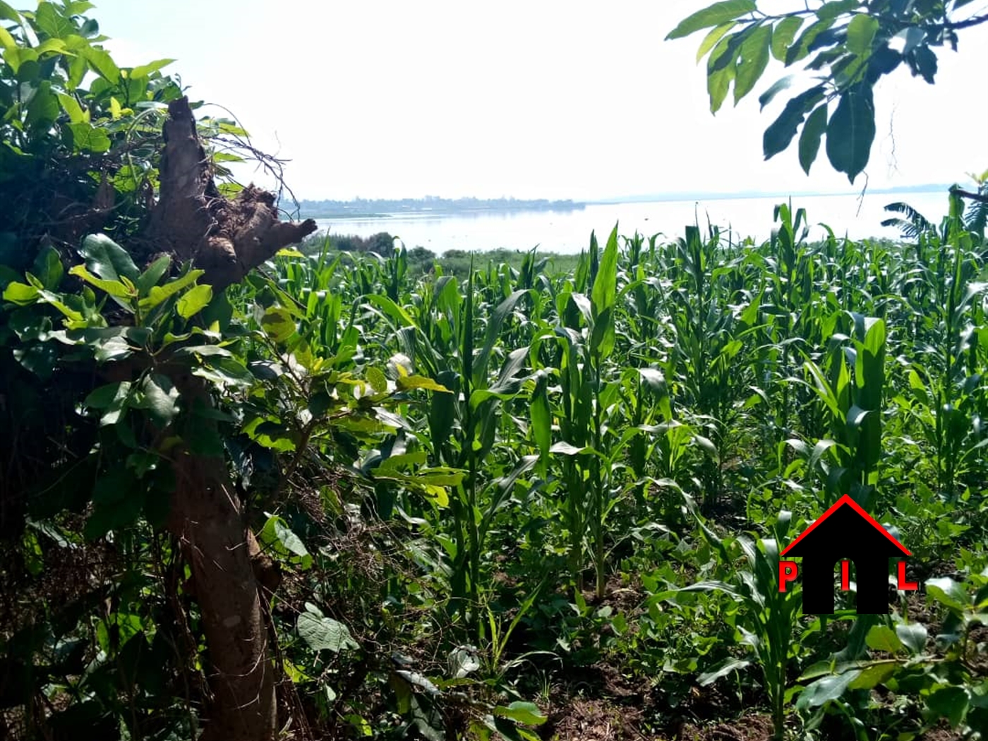 Commercial Land for sale in Muyenga Kampala