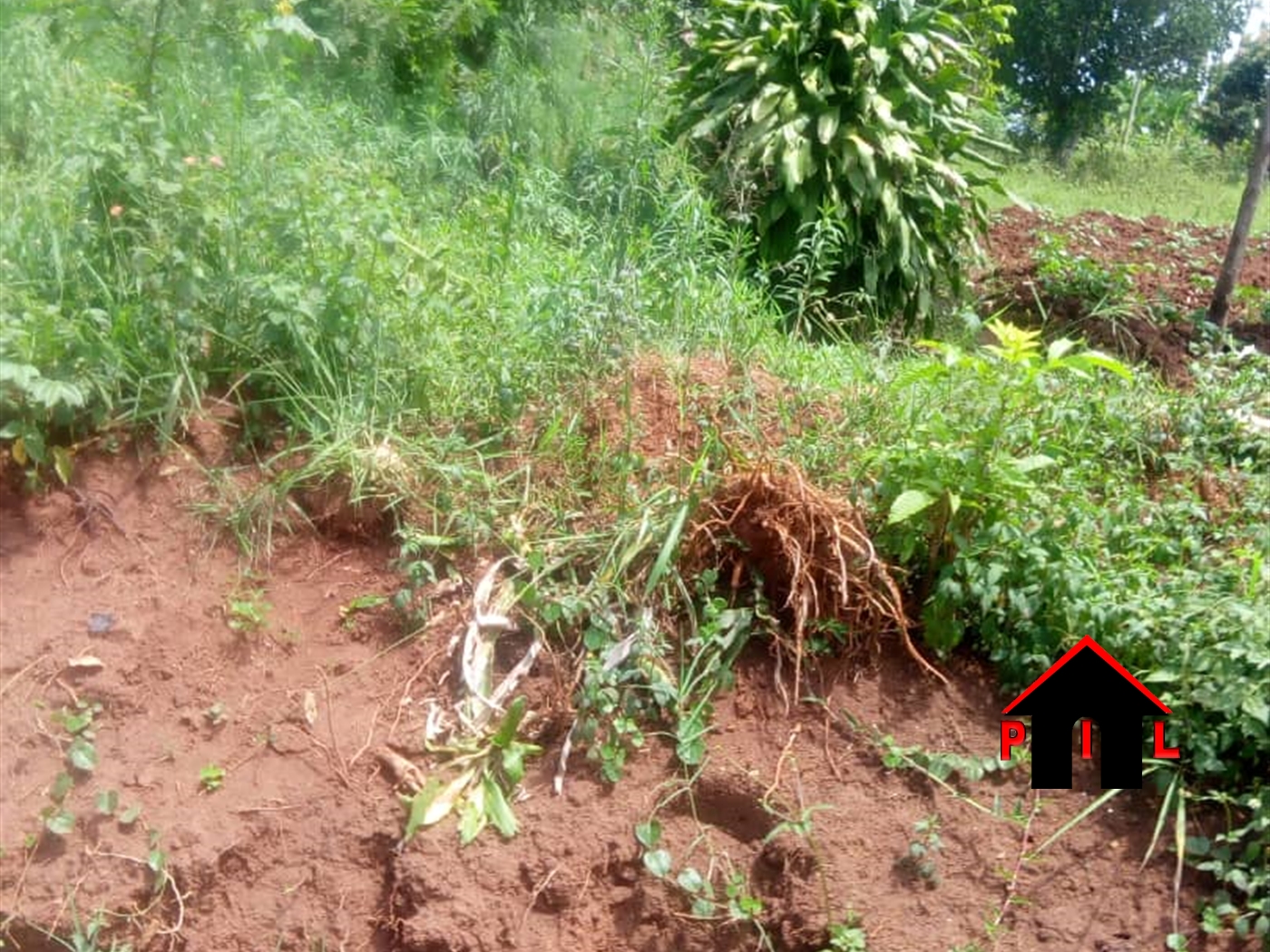 Residential Land for sale in Mengo Kampala