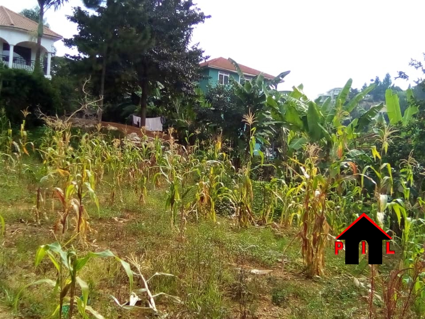 Residential Land for sale in Buziga Kampala