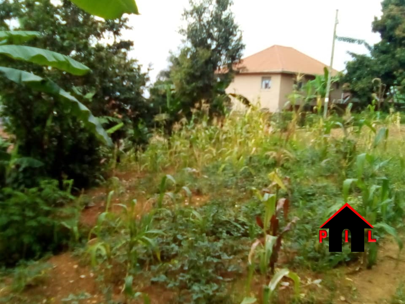 Residential Land for sale in Buziga Kampala