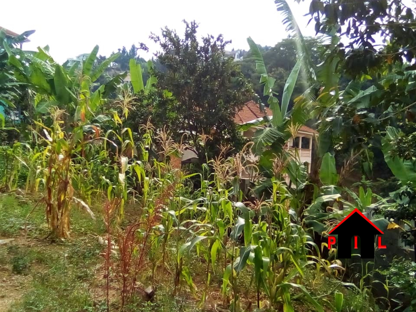 Residential Land for sale in Buziga Kampala