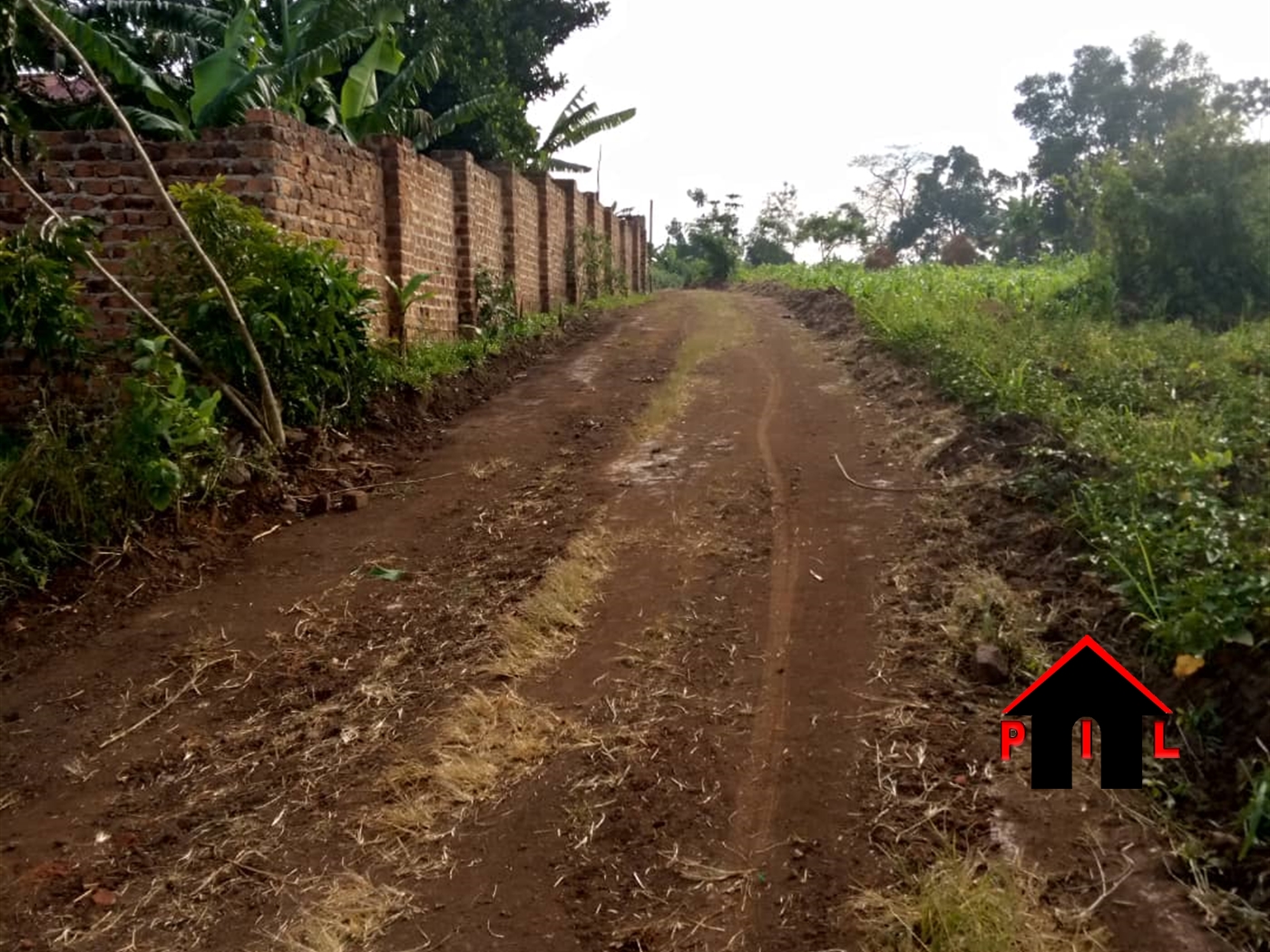 Residential Land for sale in Kigunga Mukono