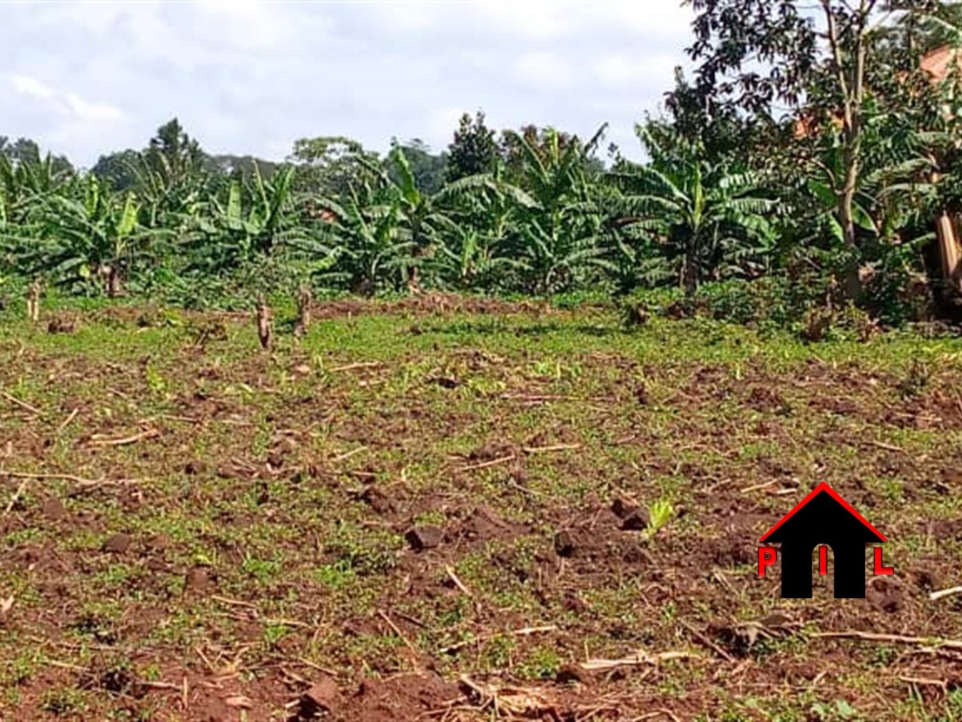 Residential Land for sale in Mpoma Mukono