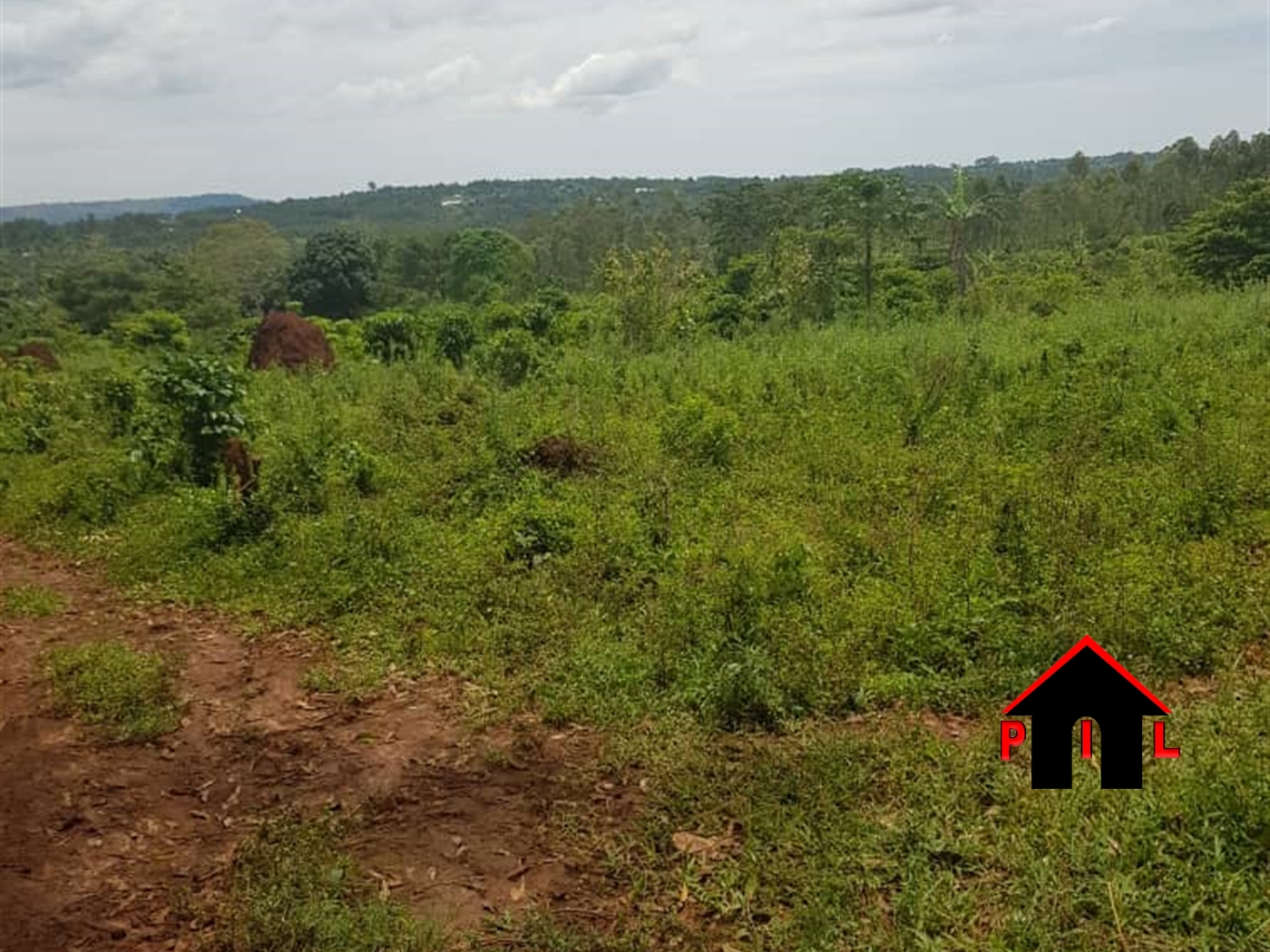 Residential Land for sale in Festino Kampala