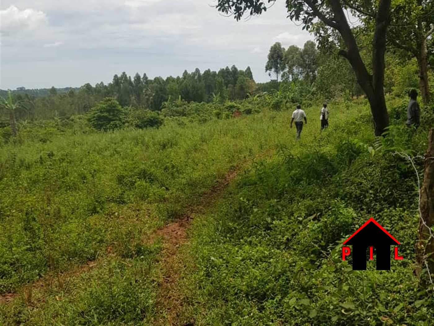 Residential Land for sale in Festino Kampala