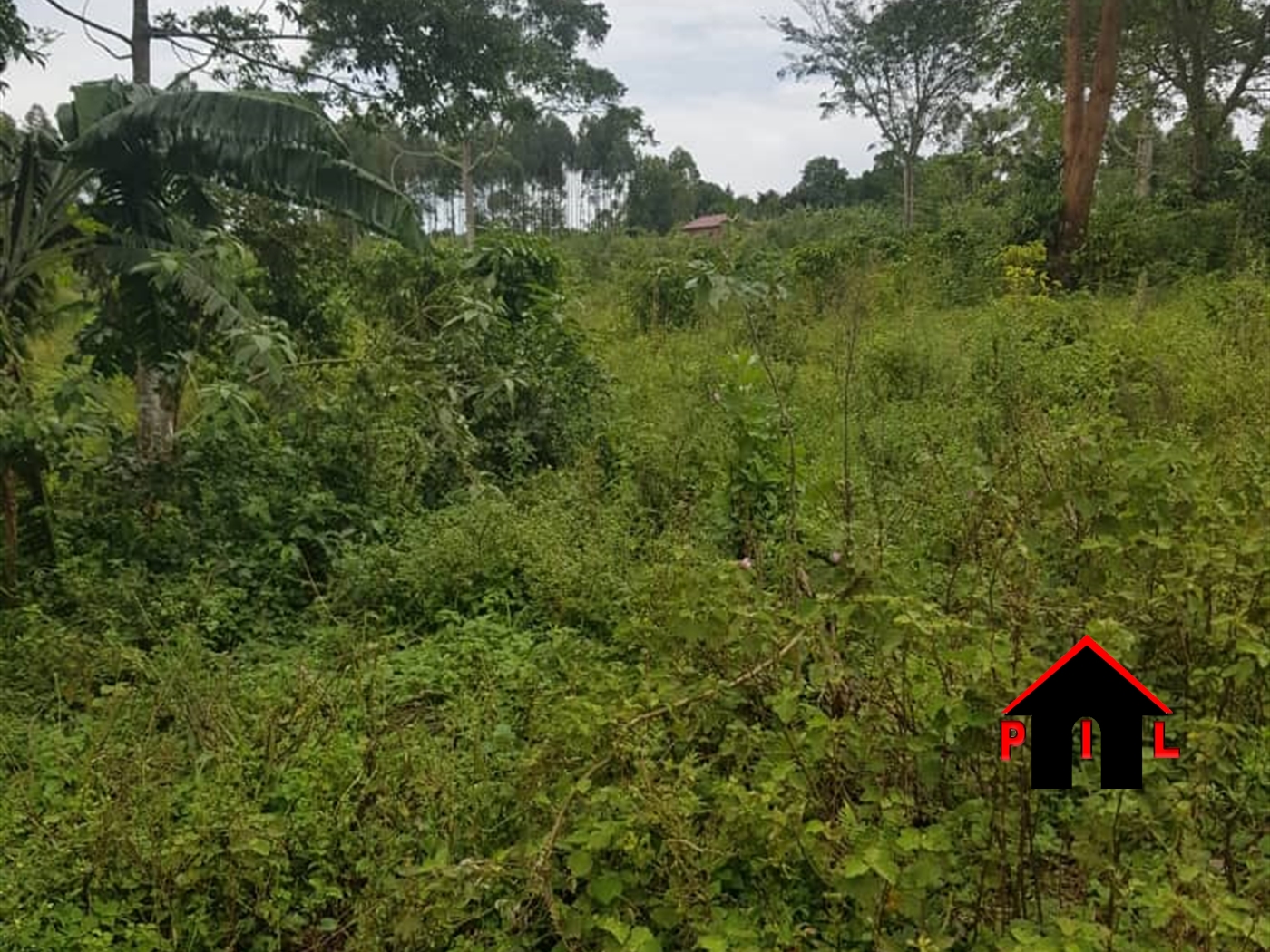 Residential Land for sale in Festino Kampala