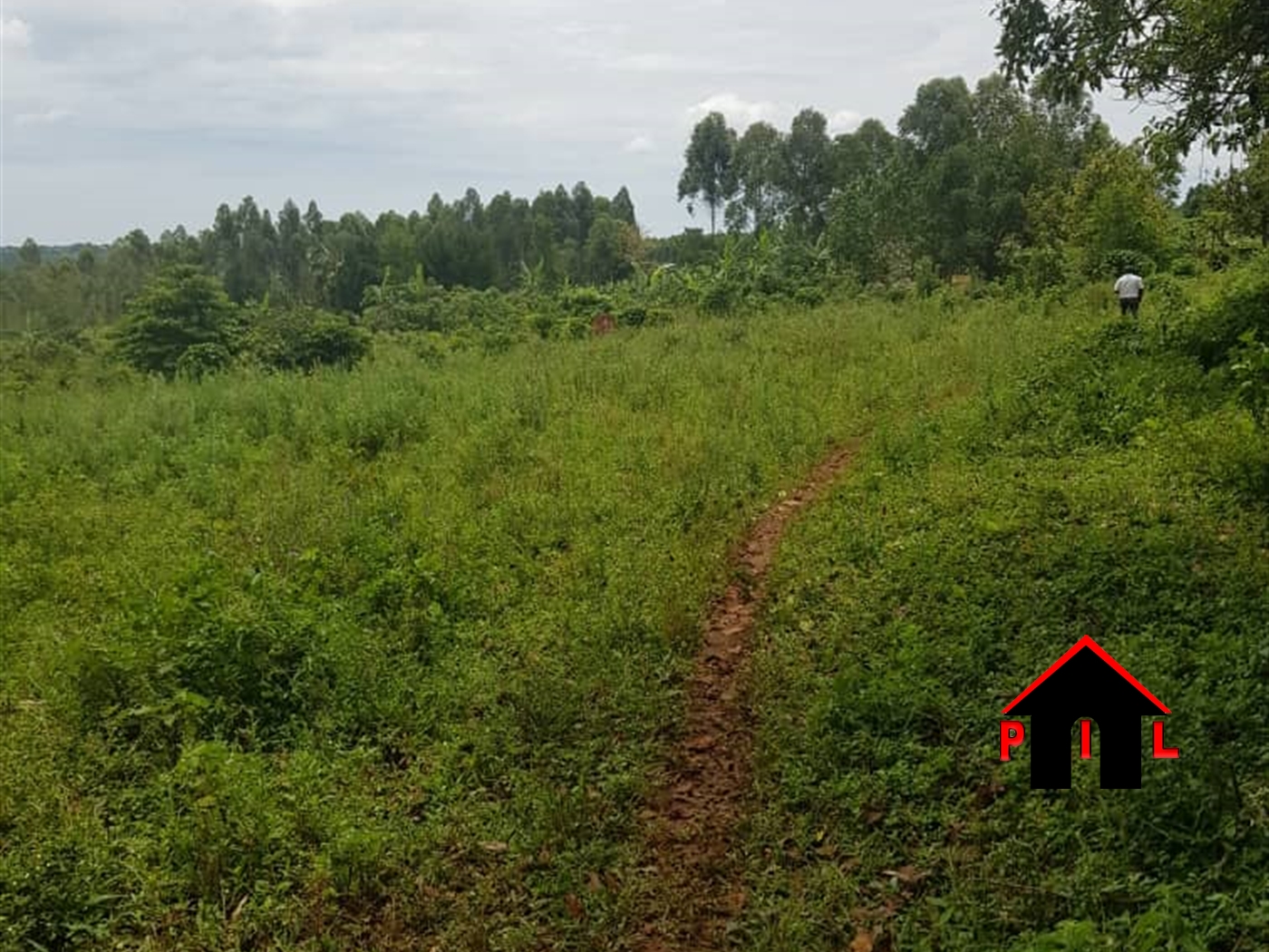 Residential Land for sale in Festino Kampala