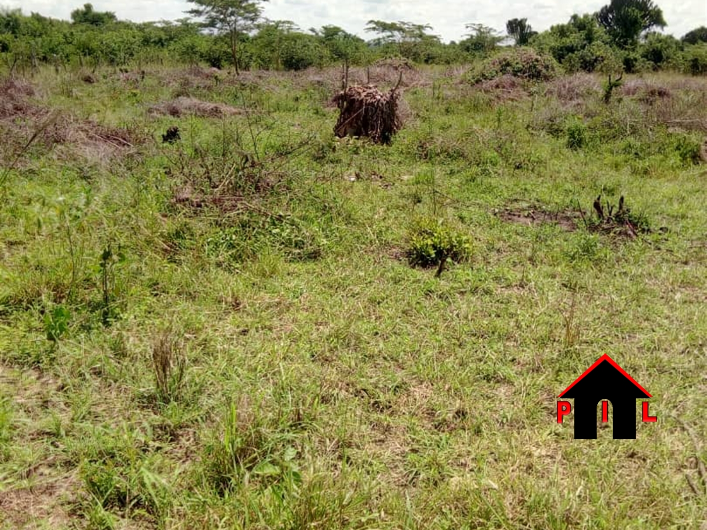 Agricultural Land for sale in Mazzi Luweero