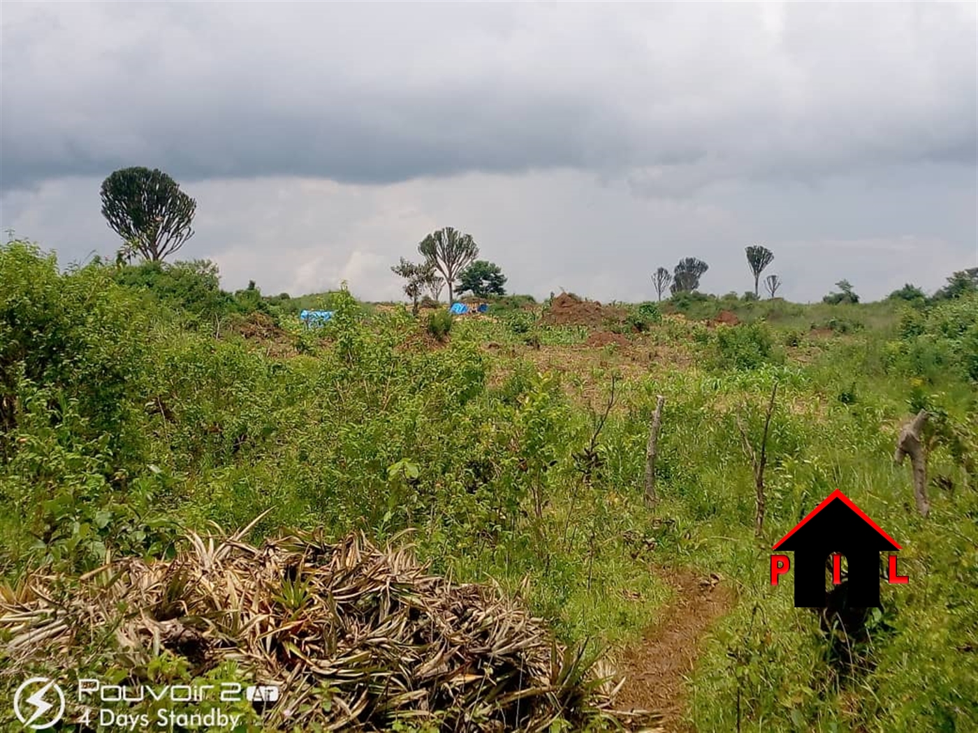 Agricultural Land for sale in Butalangu Nakaseke